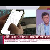 L'intelligence artificielle attise les convoitises, Laurent Alexandre, invité de Darius Rochebin