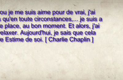 Le jour où je me suis aimé pour de vrai - Kim Mc Millen