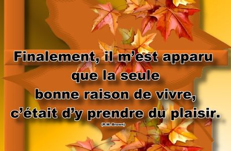 Citation en image (sagesse)