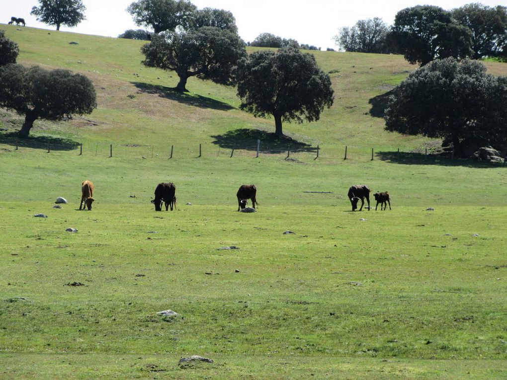 Visite de la "finca" sur une remorque tirée par un tracteur.