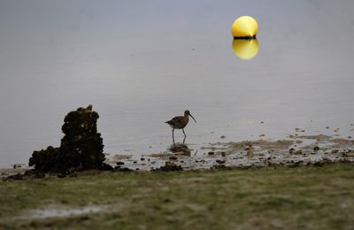 La photo du Vendredi 23 Mars 2018. Le Guet de Georges Emmanuel Clancier