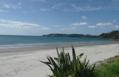 Un petit paradis à 35min de ferry d'Auckland