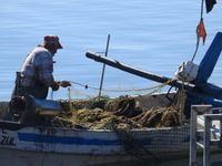 Olhao, un rendez-vous incontournable : son marché de plein air un samedi d'été au bord du port, une ambiance chaleureuse au bord de la mer