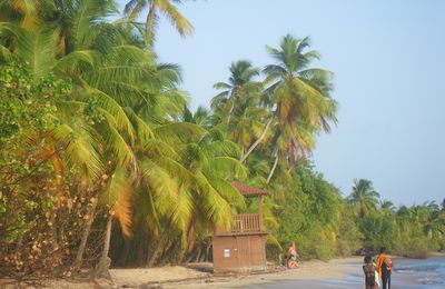 Autre vue des salines