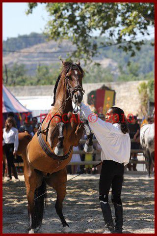 Album - MEDIEVALES-TARASCON-2010