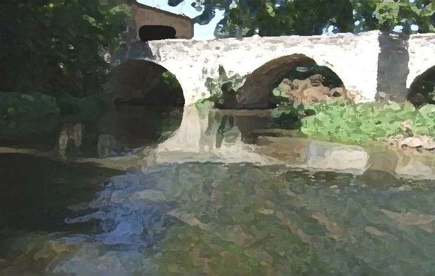 Ecologie des cours d'eau: la qualité de l'arc provençal, après la mise en oeuvre de la directive cadre européenne sur l'eau - partie 2.