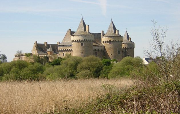 Parole au peuple(24ème) : « La France vend ses châteaux aux princes du Moyen-Orient en toute discrétion », commente le journaliste Camerounais Rémy J. NGono