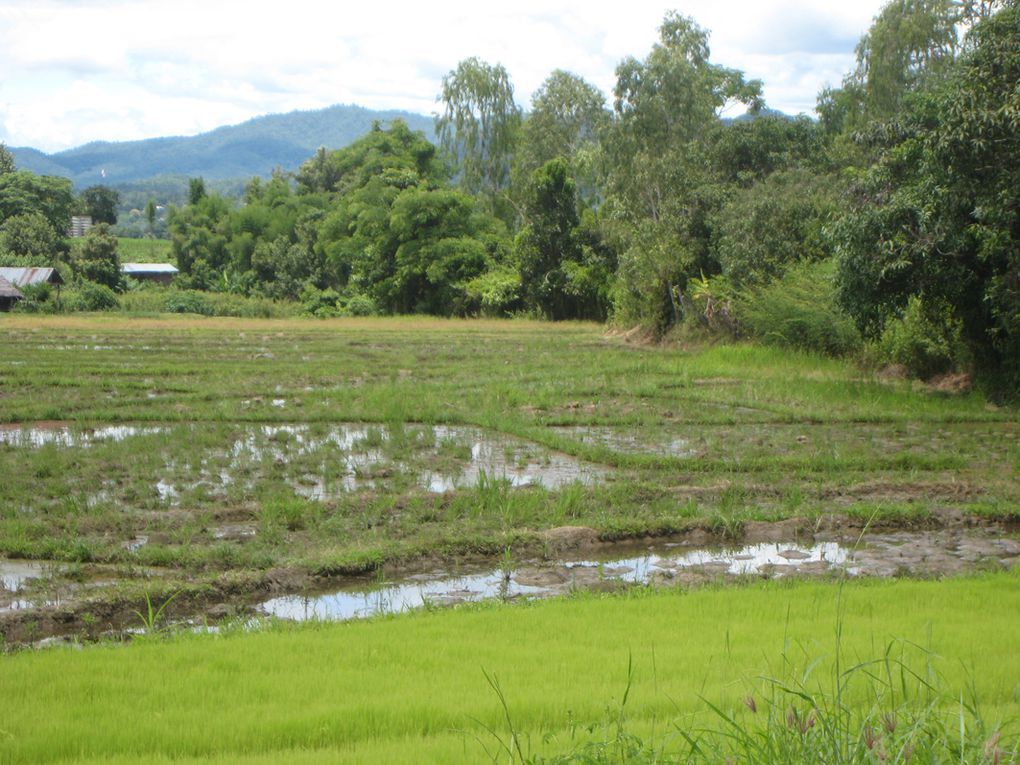 Album - Thailande, Pai