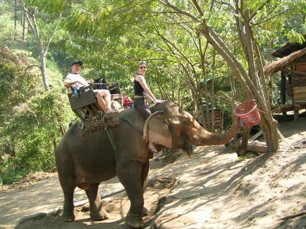 Album - Chiang Mai