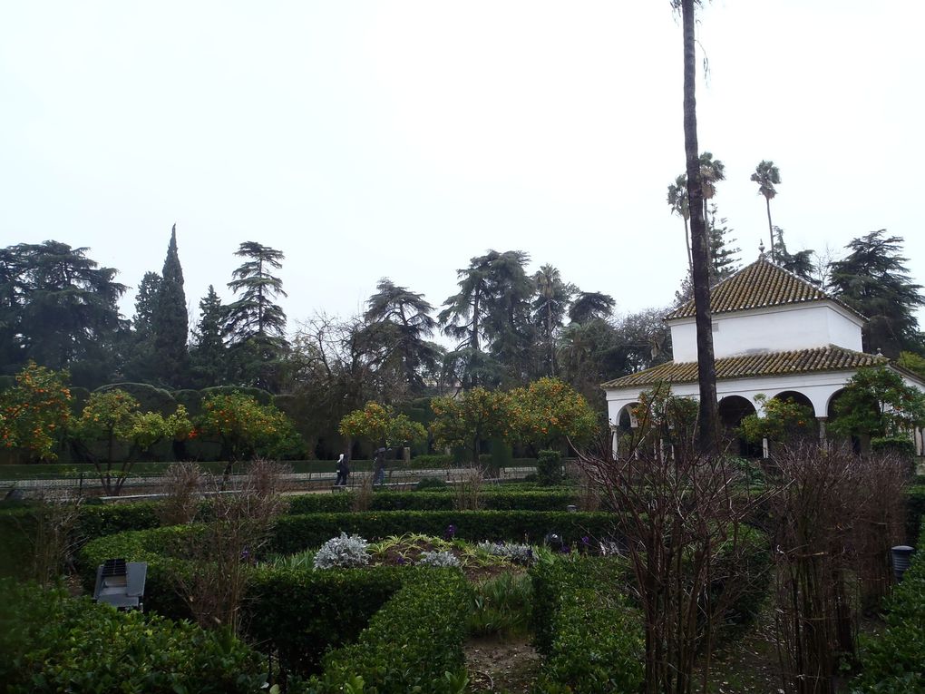 seville,4 jours pass'e là bas.Surment une ds plu beles viles que j'ai visité,où que l'on pose les yeux on en prend plein la vue.Le climat etait meilleur,ben qu'humide, ce qui m'aura permis de profiter de la ville au maximum.