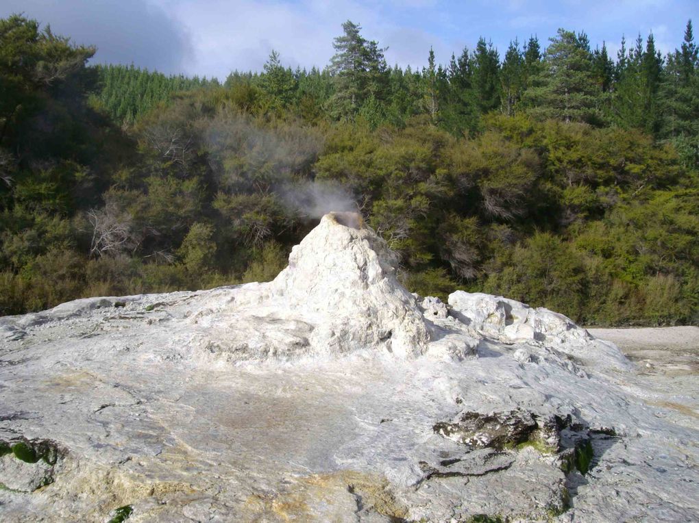 Waiotapu, geothermal park close to Rotorua.
