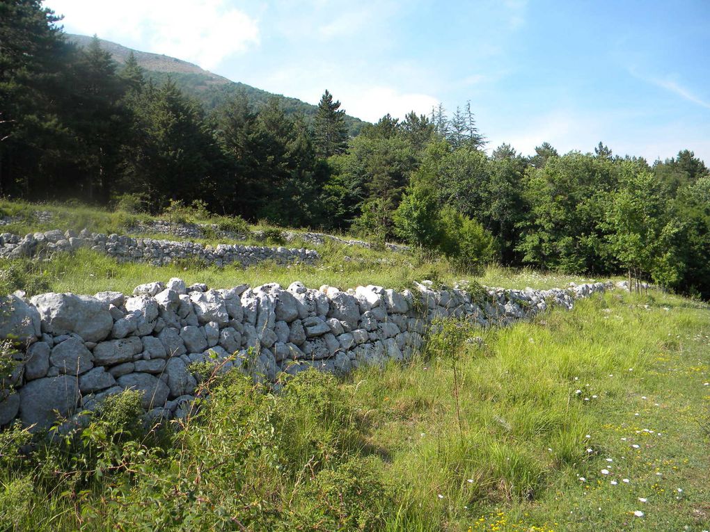 Le sentier de Nans