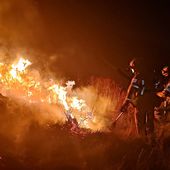 "Es un infierno en vida": incendios forestales arrasan con más de dos millones de hectáreas en Bolivia