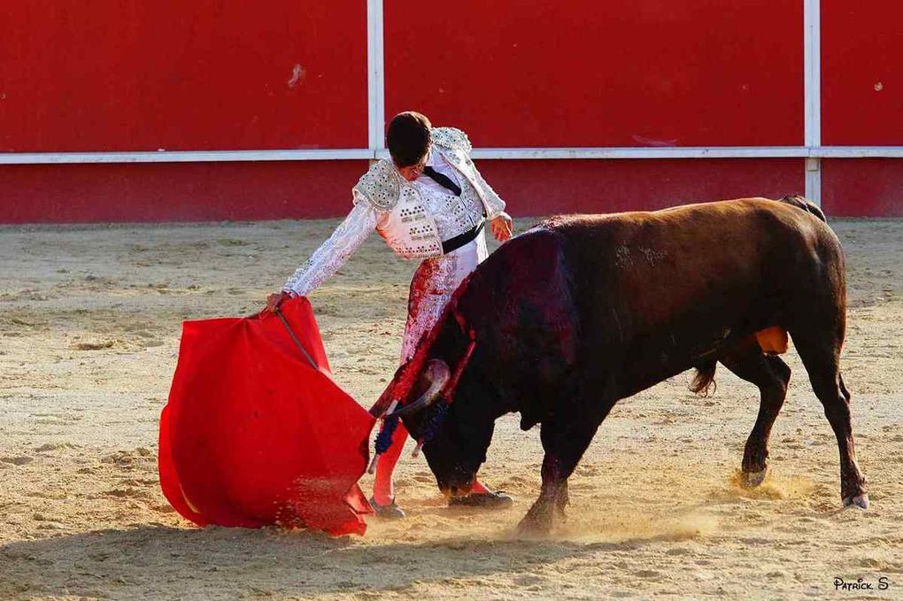                               UN DIMANCHE DE FERIA  Á BOUJAN