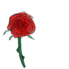 Une rose