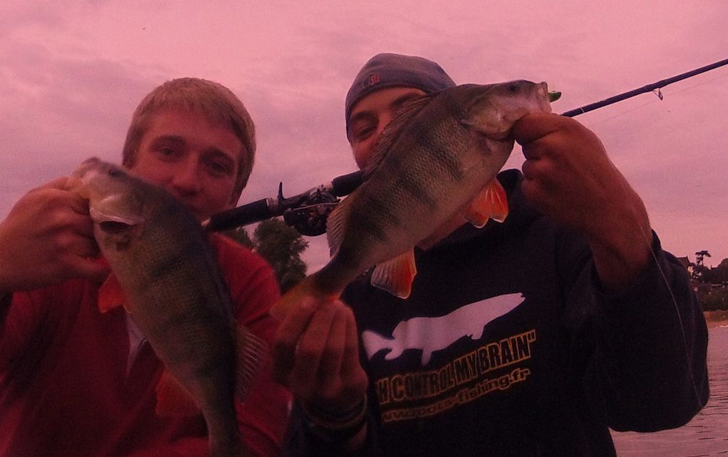 2012 est déja commencer et les fish ne tardent pas à montrer leurs nageoires