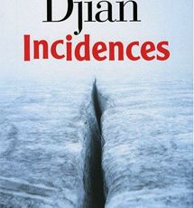 Philippe DJIAN : Incidences