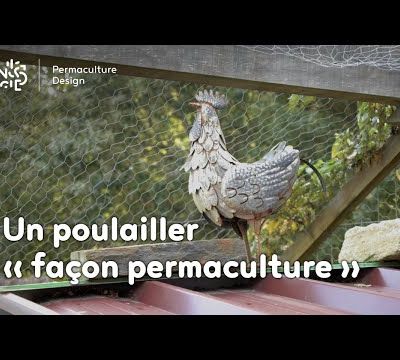 Le poulailler en permaculture