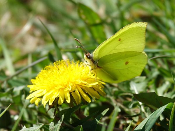 Autour du Parc éolien de Belfays