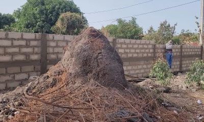 Les Ecoliens à l'école élémentaire de MBODIENE - 15 février 2025