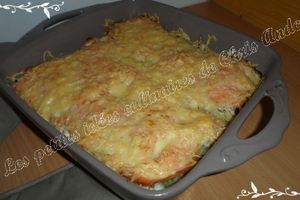 Gratin de fenouil aux deux saumons