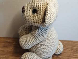 Un petit nounours avec son pull à capuche !! Adorable !! 