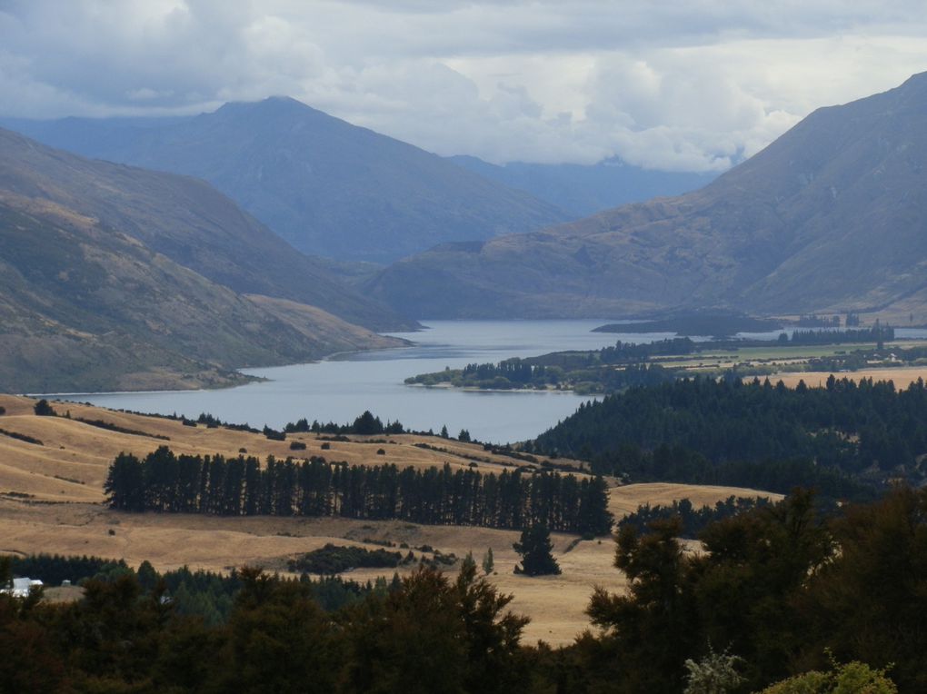 Album - Wanaka-et-Fox-Glacier