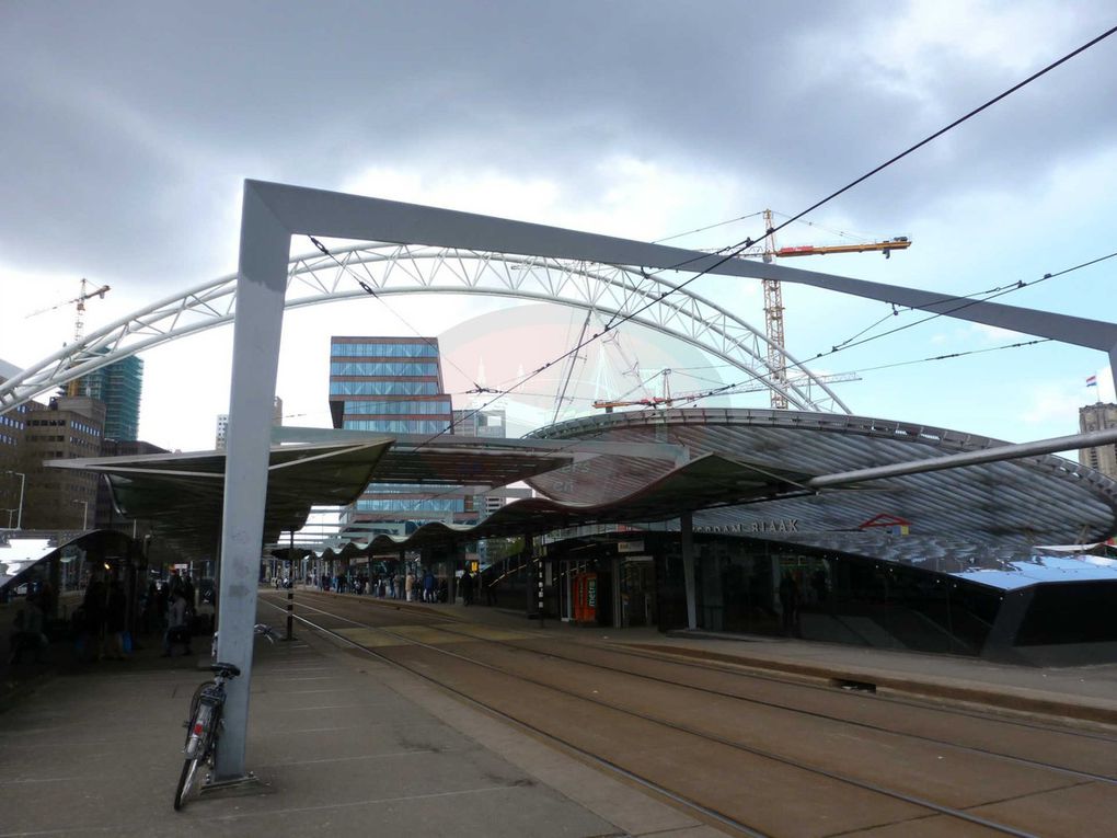 Bienvenue à Rotterdam, le plus grand port Européen ! Cette ville très dynamique de 634 253 habitants se situe sur la Meuse. Son port s'étend d'ailleurs sur 42km de berges où plus de 400MT y sont traitées chaque année dont 12M d'EVP faisant de Rotterdam le 8° port au Monde.