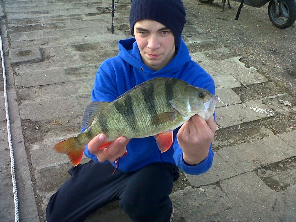 2012 est déja commencer et les fish ne tardent pas à montrer leurs nageoires