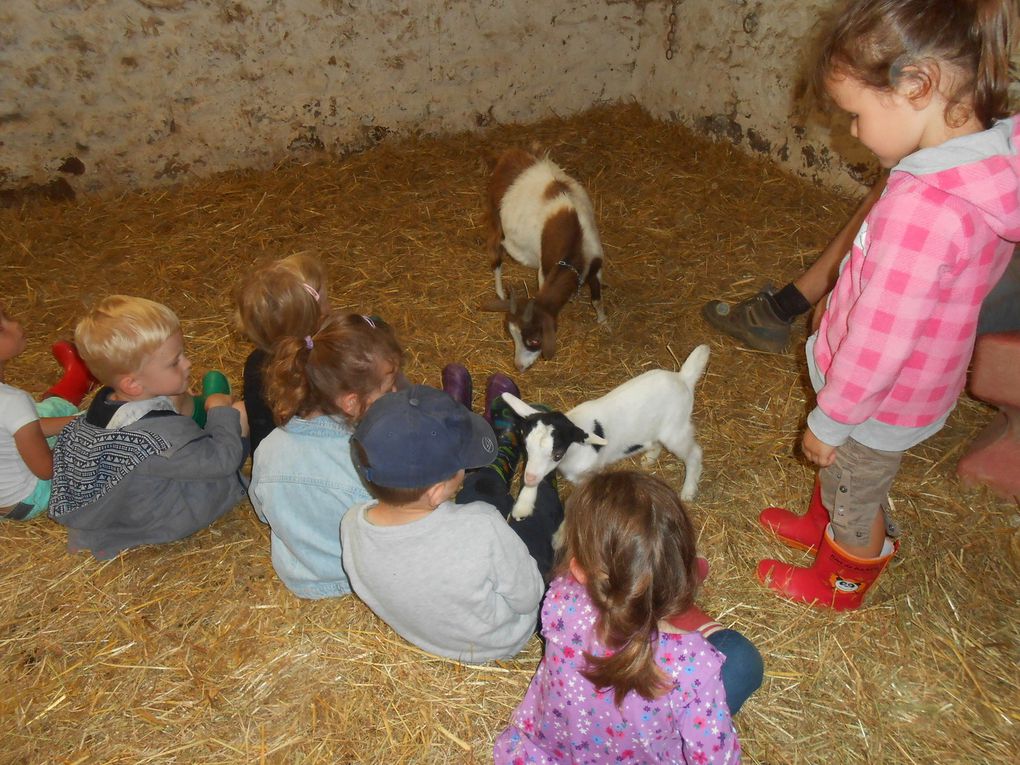 Ferme de la Haute Hairie à Saint M'hervé : sortie scolaire des classes de maternelle.