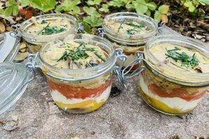 Terrine de tomates au fromage frais 1💙