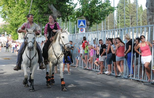 Anniversaire à la Manade du Grand Salan...