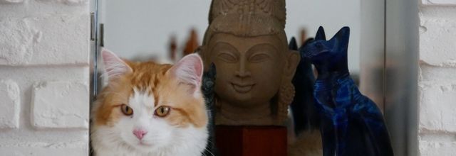 LES CITATIONS FELINES DES GENS CELÈBRES