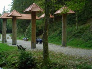 QUE VOIS-JE DES CHAMPIGNONS ??