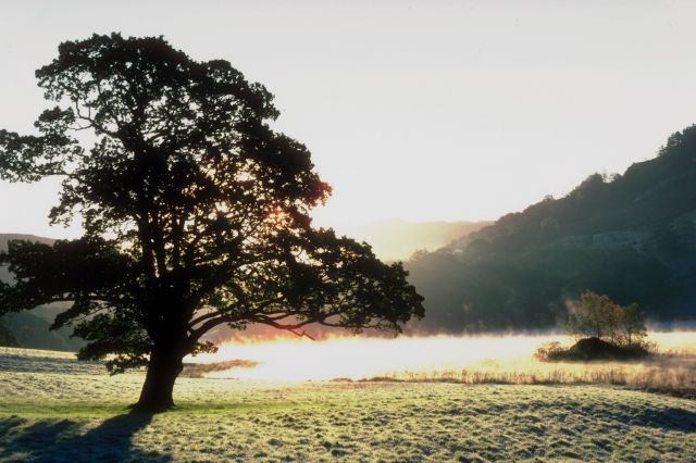 Album - merveillese-nature &quot;ANGLETERRE&quot;