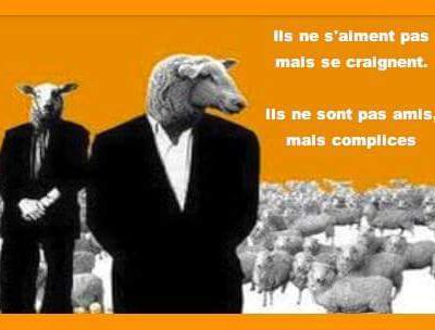 TF1 offusqué par les propos de NDA sur l'indépendance et l'équité de la chaîne,  à mourir de rire!