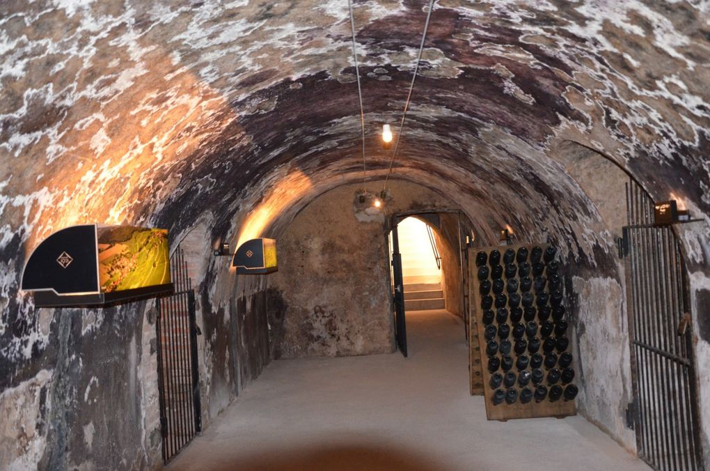 Dans les salons du Champagne COLLET-COGEVI suivi de la visite des caves et de la  Maison COGEVI