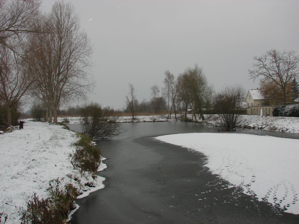 THE WINTER 2010 OR THE WHITE HELL. Sélection de photographies prises entre le 2 décembre et le 19 décembre 2010 à l'Etang de Fouilloy, la Place de la République de Corbie et la Somme.
Photos prises avec un SONY DSC-H2.  (C) DAVID NOGENT/ADAGP. A