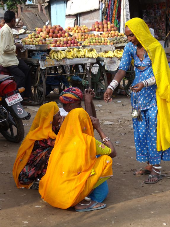 Album - Rajasthan-2010-suite