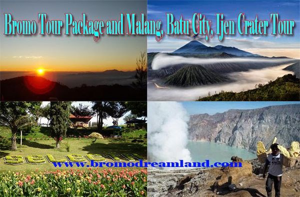 Bromo Tour Package - Malang - Batu City, Ijen Crater Tour