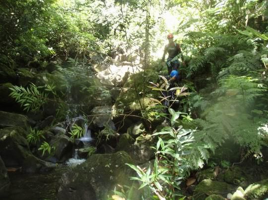 <p>Week end acrobranche, botanique, g&eacute;ologie et hamacs dans la for&ecirc;t du petit Mapou, plong&eacute;e &agrave; la pointe au sel... Merci Transph&egrave;re !</p>
<p>Sinon, il y a aussi le canyonning... Ahhhhhh, le canyon...</p>
<p>Mais aussi de la rando... </p>
<p>Bref, toutes ces belles ballades&nbsp;que&nbsp;nous offre La R&eacute;union !</p>