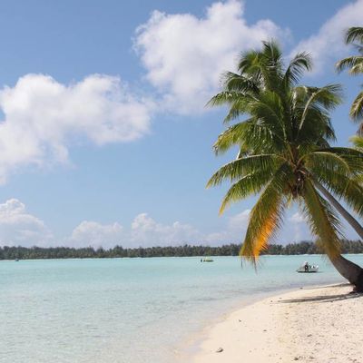 Les vacances sont là...au boulot !