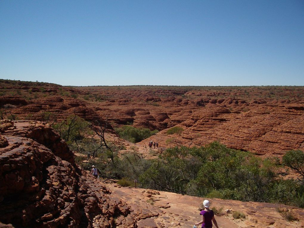 Album - The-Ultimate-Oz-Experience-2--Outback--The-Olgas---Ayers-Rock---Kings Canyon