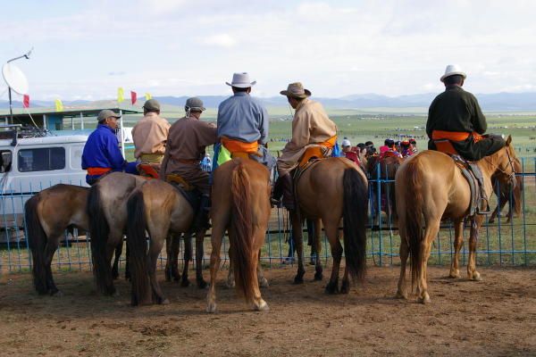 Ins&eacute;paarbles cavaliers et chevaux mongols