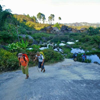 Partir à la découverte des circuits touristiques à Madagascar
