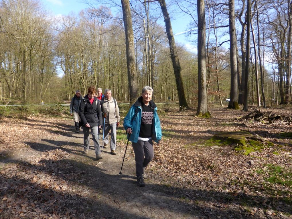 Tout de suite en forêt de Marly.