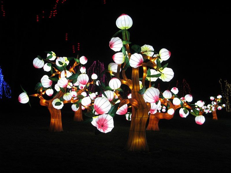 Festival des lanternes chinoises de Thoiry - février 2019