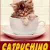 un petit catpuchino?