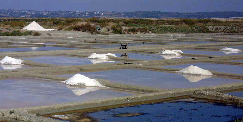 Album - Les Marais-salants de Guerande