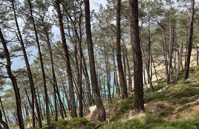 Randonnée de Morgat à Porzh an Dour. - 6,8 km